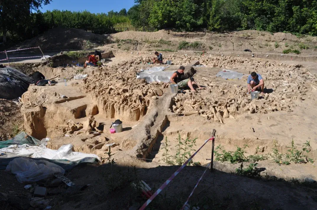 Researchers excavating the mammoth site. A. E. Dudin