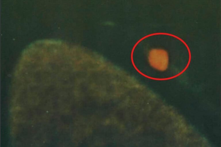 https://www.collective-evolution.com/2021/04/13/f18-navy-pilot-uses-his-iphone-to-take-a-picture-of-ufos-pentagon-confirms/