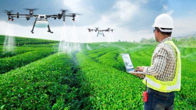 Warning: â€˜Keys Of The Food Systemâ€™ Being Handed Over To Big Tech