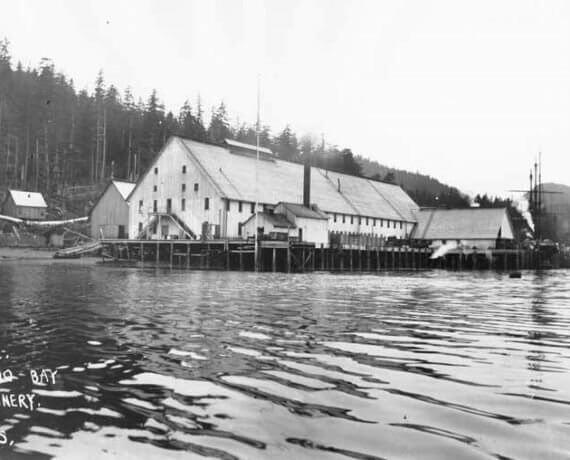 The Cannery