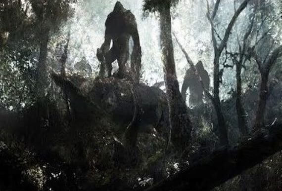 Mysterious entities in the forest…