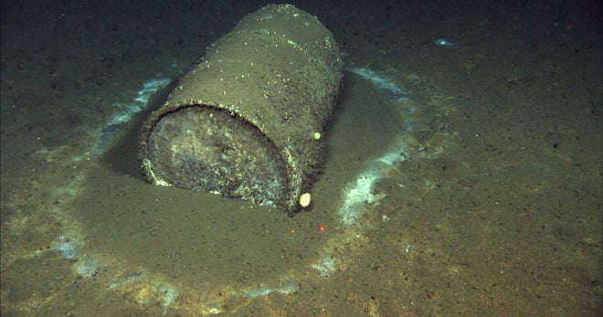 Scientists Horrified As Over 27,000 Leaking Barrels of Toxic DDT Discovered On Seafloor Near LA