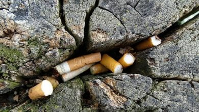 Cigarette Butts Are The Single Most Littered Item On Our Planet