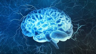 Two Powerful Ways To Nourish Your Brain
