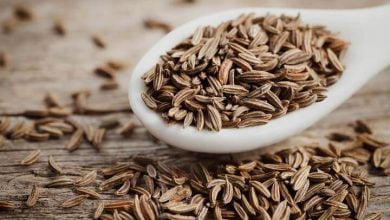 From Tomb To Table: Cumin’s Health Benefits Rediscovered