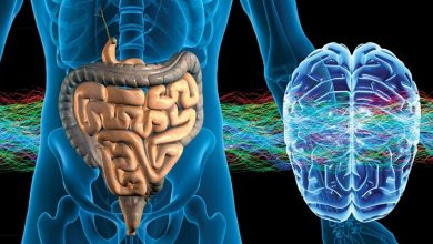 The Gut-Brain Connection: Boost Mental Health Through The Gut