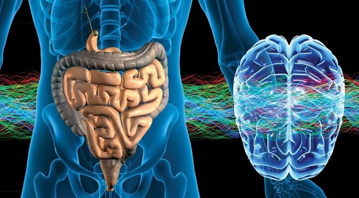 The Gut-Brain Connection: Boost Mental Health Through The Gut