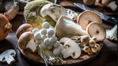 7 Medicinal Mushrooms That Fight Cancer