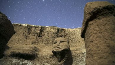 Human Head Carvings And Phallus-Shaped Pillars Discovered At 11,000-Year-Old Site In Turkey