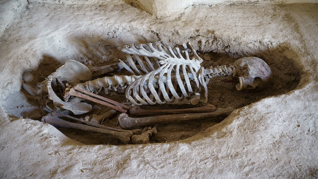 Giant 7 – 8 Foot Skeletons Uncovered In Ecuador Sent For Scientific Testing