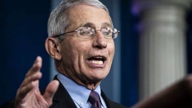 Emails Expose Fauci, Collins Collusion To 'Smear' Anti-Lockdown Scientists