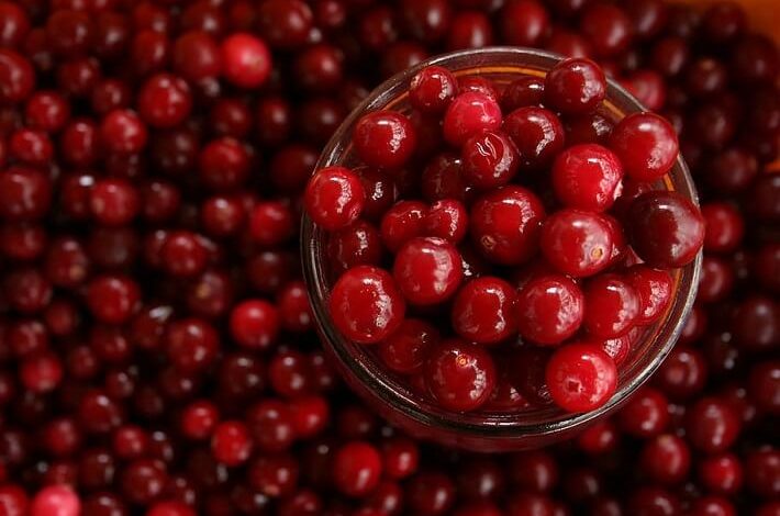 Cranberries Help More Than Urinary Tract Infections!