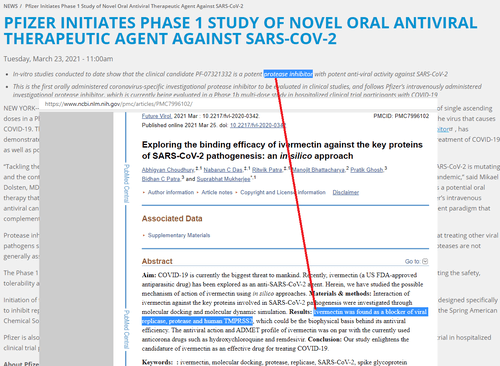 Hospitalizations, Mortality Cut In Half After Brazilian City Offered Ivermectin To Everyone Pre-Vaccine