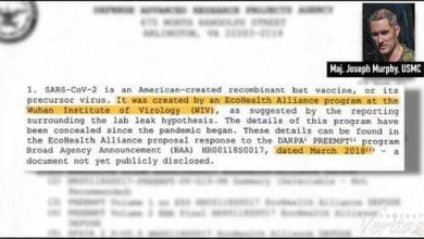 Ivermectin 'Works Throughout All Phases' of COVID According To Leaked Military Documents