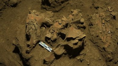 Intact DNA From 7,200 Year Old Woman Reveals Unknown Human Lineage