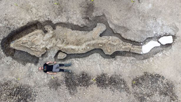 Giant 180-Million-Year-Old, 10-Metre Long ‘Sea Dragon’ Skeleton Found In England