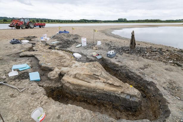 Giant 180-Million-Year-Old, 10-Metre Long ‘Sea Dragon’ Skeleton Found In England
