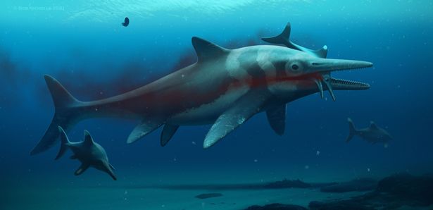 Giant 180-Million-Year-Old, 10-Metre Long ‘Sea Dragon’ Skeleton Found In England