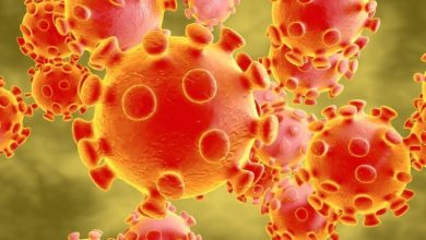 Johns Hopkins Medical Prof Explains: Natural COVID Immunity Is Very Strong