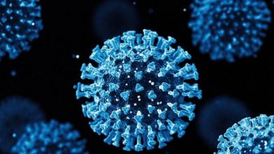Chinese Scientists From Wuhan Discover "Potentially Deadly" New Strain of Coronavirus