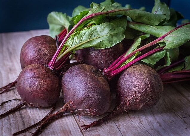 Using Beets To Test Digestive Health