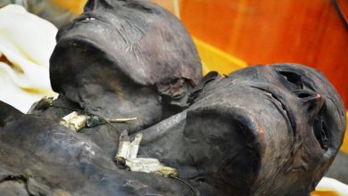 Kap Dwa: The Mysterious Mummy of A Two-Headed Giant