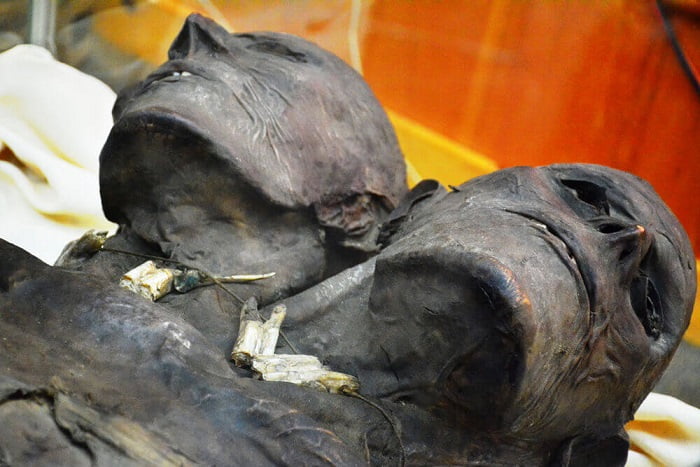Kap Dwa: The Mysterious Mummy of A Two-Headed Giant