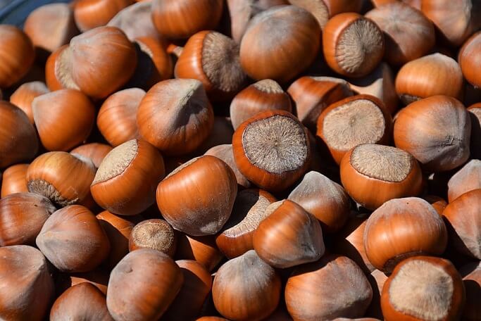 Do You Know The Health Benefits of Hazelnuts?