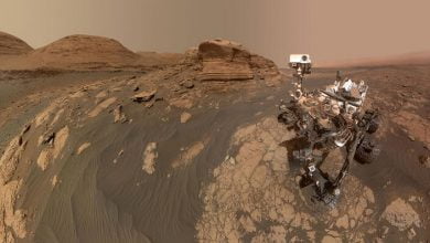 NASA’s Curiosity Rover Finds ‘Tantalizing’ Carbon Signs Of Possible Ancient Life On Mars