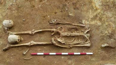 Archaeologists Find 40 Beheaded Roman Skeletons With Skulls Between Their Legs