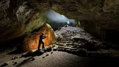 Ancient Cave Shows Modern Humans Ventured Into Europe Far Earlier Than We Knew