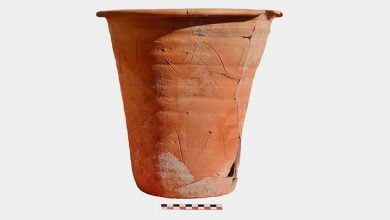 Archaeologists Figured Out How To Tell If One of These Roman Pots Was Used For Poop
