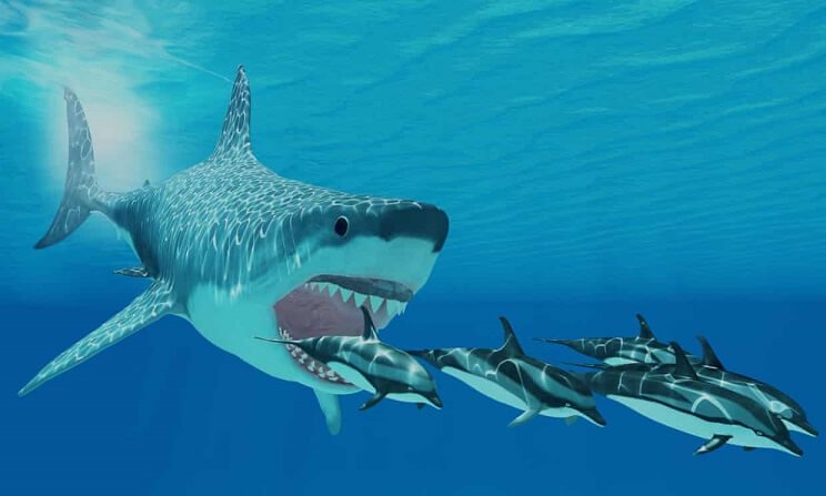 It's Official: New Study Shows We Have No Idea What Megalodon Really Looked Like