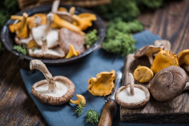 Mushrooms have an ancient history as medicine and researchers are continuing to find new qualities to these delicious fungi. (Marcin Jucha/Shutterstock)