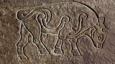 Mysterious Pictish Symbols Discovered In Scotland Are The ‘Find of A Lifetime’