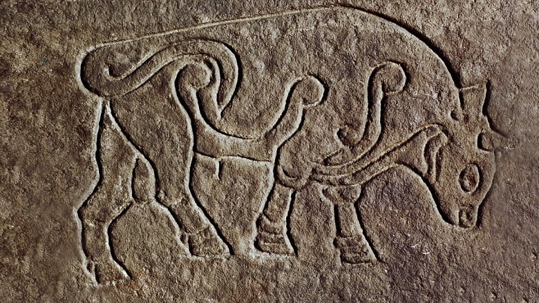 Mysterious Pictish Symbols Discovered In Scotland Are The ‘Find of A Lifetime’