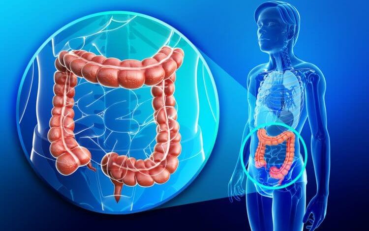 Is colon cleansing a good way to eliminate toxins from your body?