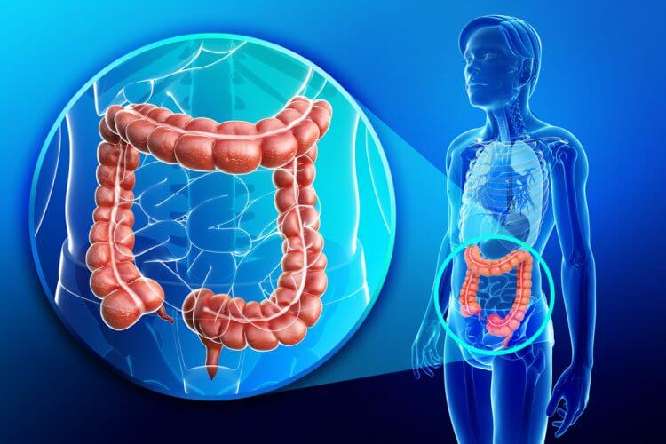 Is colon cleansing a good way to eliminate toxins from your body?