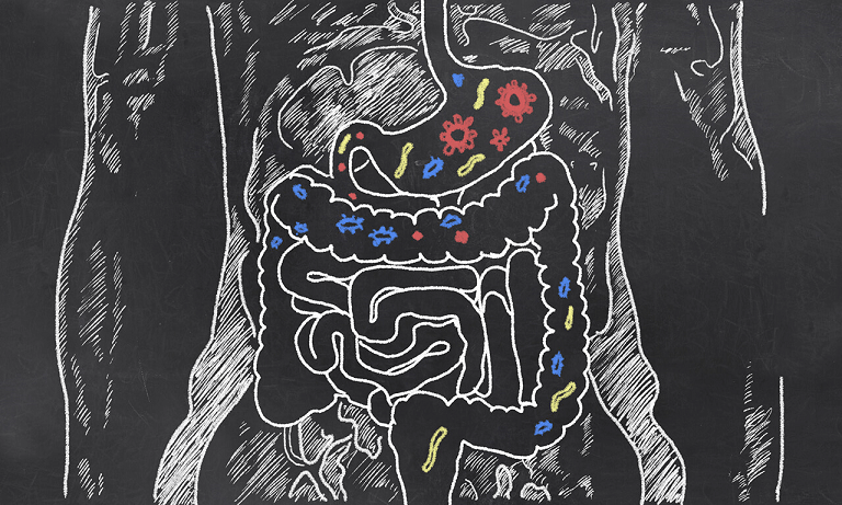 Healthy Gut, Healthier Aging