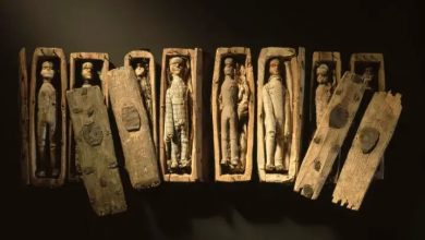 Miniature coffins on display in the National Museum of Scotland.