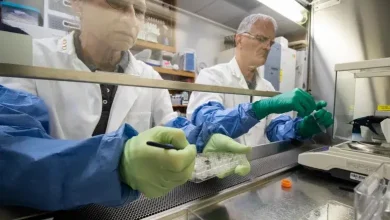 Anna-Lisa Paul, left, and Rob Ferl, working with lunar soils in their lab. Credit: UF/IFAS photo by Tyler Jones