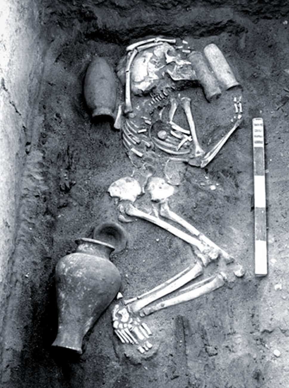 One of the supposed skeletons of the followers of Horus, discovered in the 1930s © Egypt Exploration Society