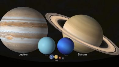 Astronomer's Mind Blowing Animation Shows The True Scale of Our Solar System