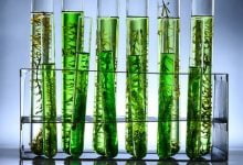 Scientists Have Powered A Basic Computer With Just Algae For Over 6 Months