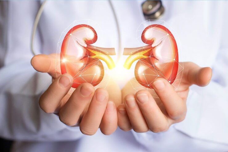 7 Best Foods To Support Kidney Function
