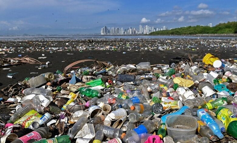 Plastic pollution on a Panama beach. Photo Credit: Luis Acosta / AFP via Getty Images