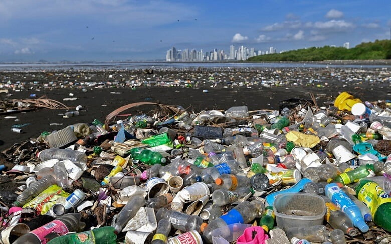 Plastic pollution on a Panama beach. Photo Credit: Luis Acosta / AFP via Getty Images