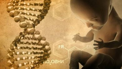 Scientists Find Alien Code ‘Embedded’ In Human DNA: Evidence of Ancient Alien Engineers?