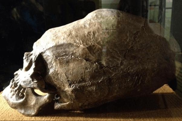 They Found an Alien Skull in Nigeria, Africa – This Could Change the History as We Know It