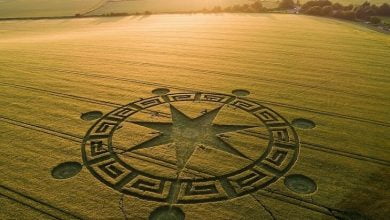 Physicist From Finland’s University of Helsinki Decodes Strange Crop Circle With A Binary Code And Alien Face